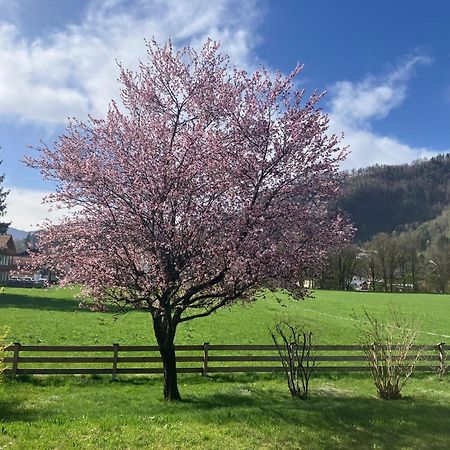 Open Garden Mountain Lodge اوبرودورف المظهر الخارجي الصورة